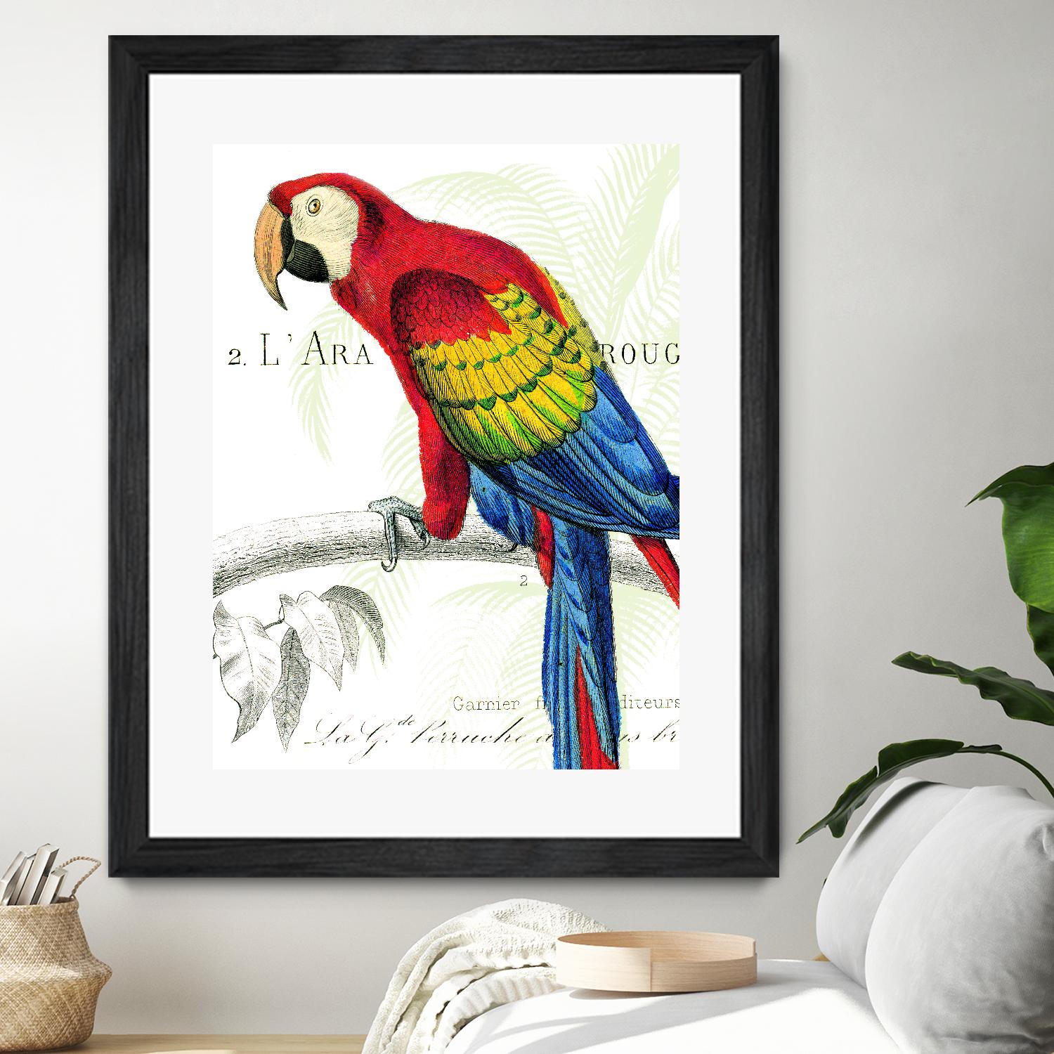 Parrot Botanique II by Portfolio on GIANT ART - red animal oiseau