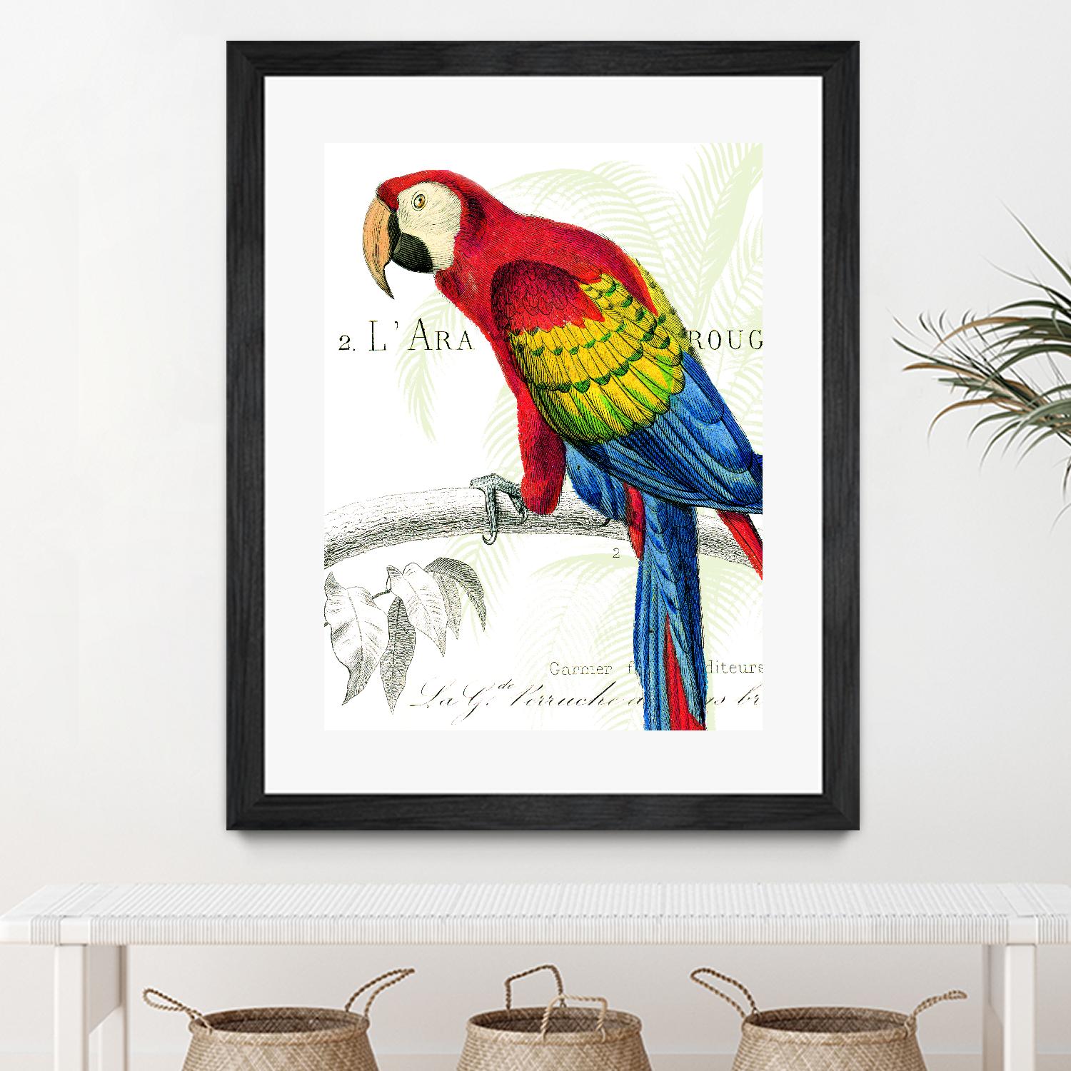 Parrot Botanique II by Portfolio on GIANT ART - red animal oiseau