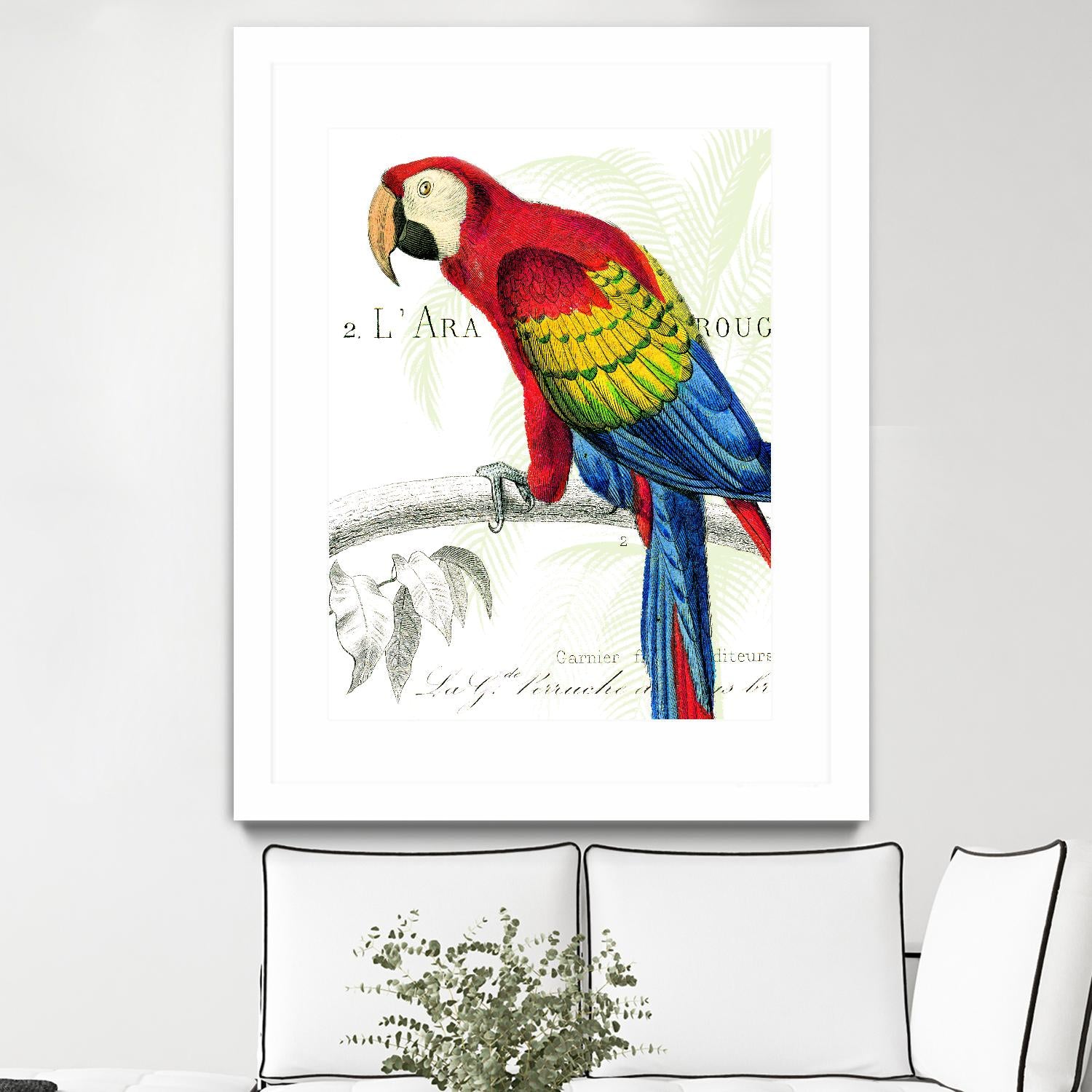Parrot Botanique II by Portfolio on GIANT ART - red animal oiseau