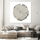 Woodland Years II on White by Sue Schlabach on GIANT ART - grey trees