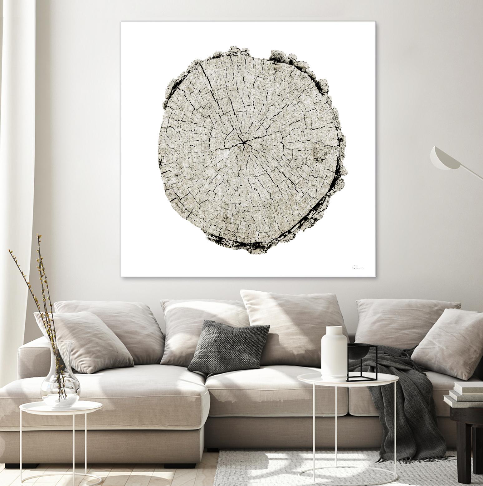 Woodland Years II on White by Sue Schlabach on GIANT ART - grey trees