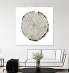 Woodland Years II on White by Sue Schlabach on GIANT ART - grey trees
