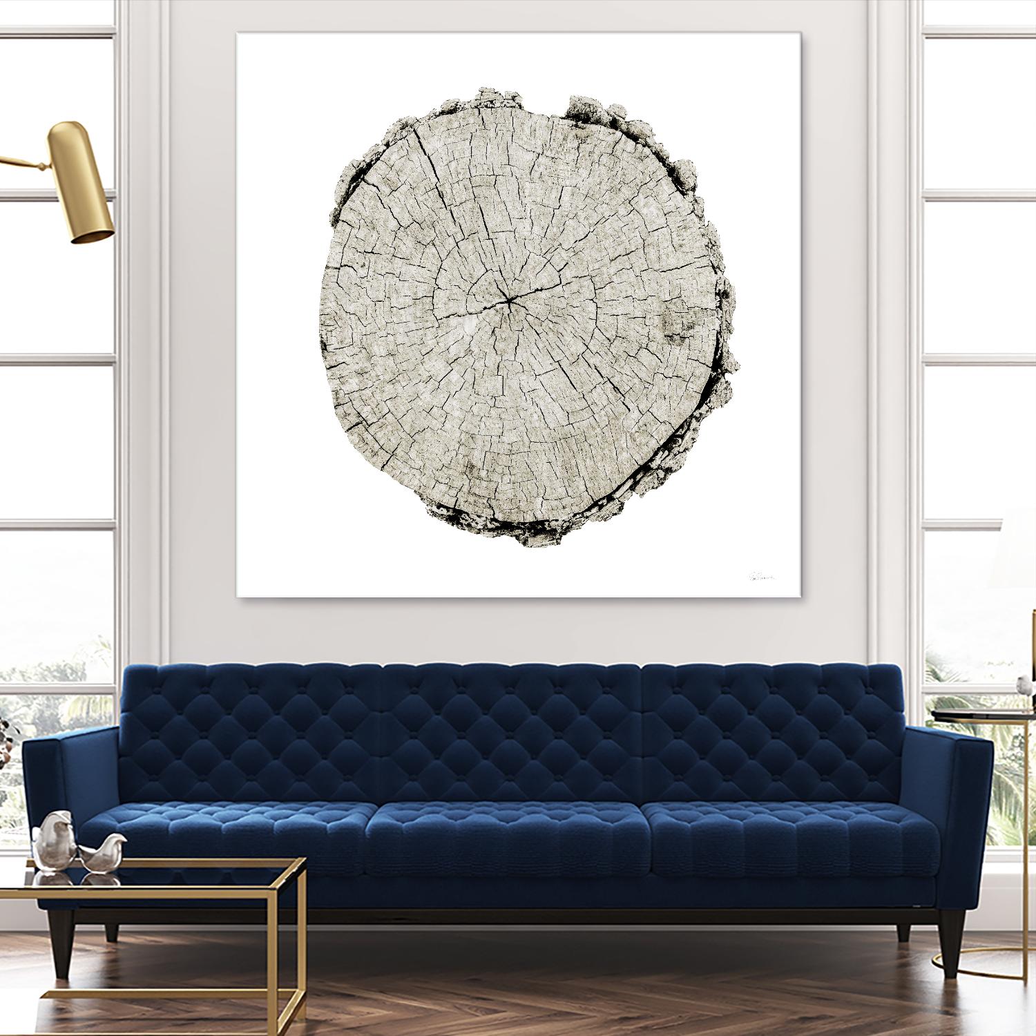 Woodland Years II on White by Sue Schlabach on GIANT ART - grey trees