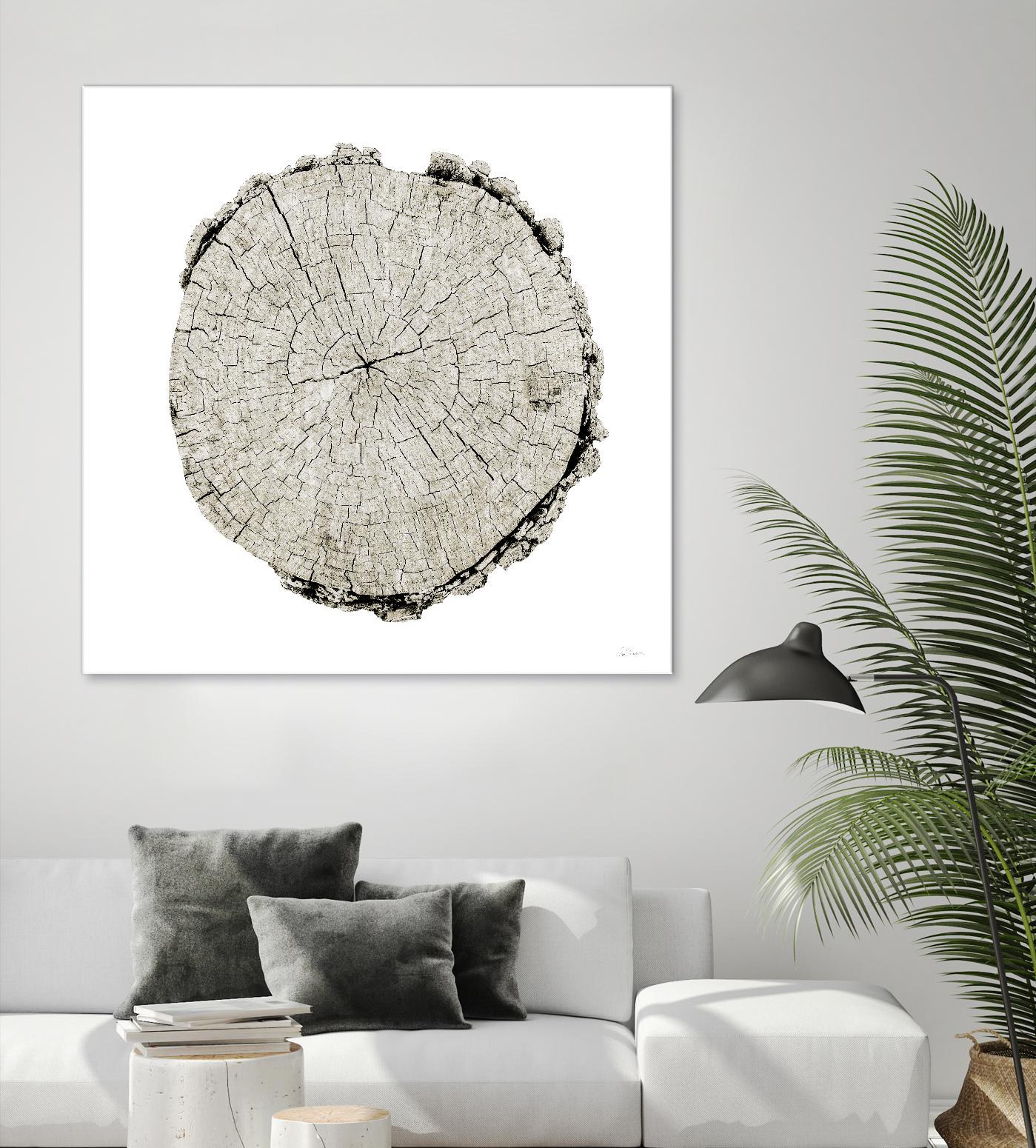 Woodland Years II on White by Sue Schlabach on GIANT ART - grey trees