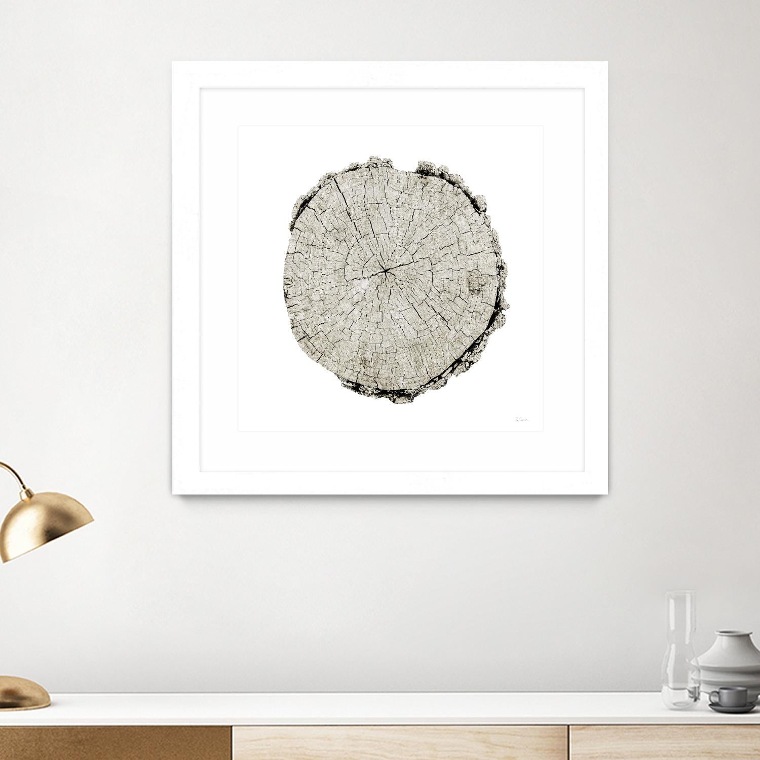 Woodland Years II on White by Sue Schlabach on GIANT ART - grey trees