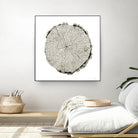 Woodland Years II on White by Sue Schlabach on GIANT ART - grey trees