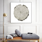 Woodland Years II on White by Sue Schlabach on GIANT ART - grey trees