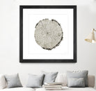 Woodland Years II on White by Sue Schlabach on GIANT ART - grey trees