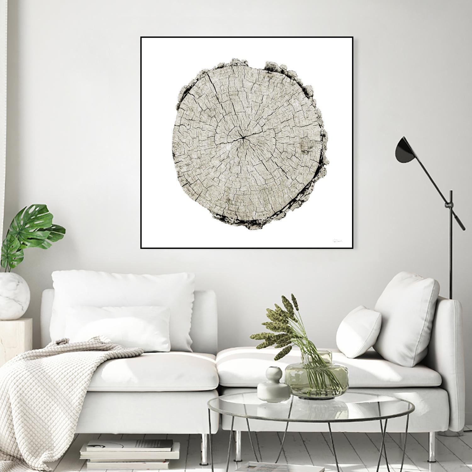 Woodland Years II on White by Sue Schlabach on GIANT ART - grey trees