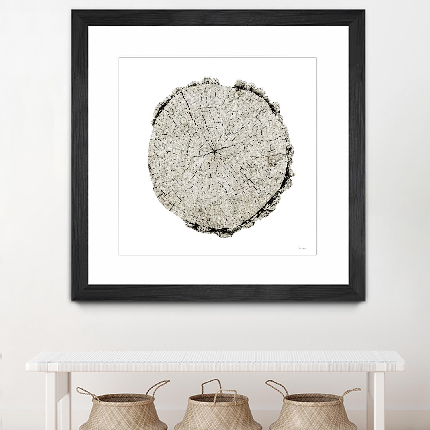 Woodland Years II on White by Sue Schlabach on GIANT ART - grey trees