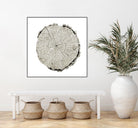 Woodland Years II on White by Sue Schlabach on GIANT ART - grey trees
