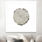 Woodland Years II on White by Sue Schlabach on GIANT ART - grey trees