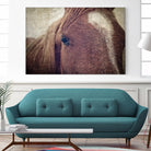 Dew Lashes by Debra Van Swearingen on GIANT ART - animals animals