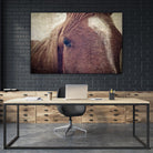 Dew Lashes by Debra Van Swearingen on GIANT ART - animals animals