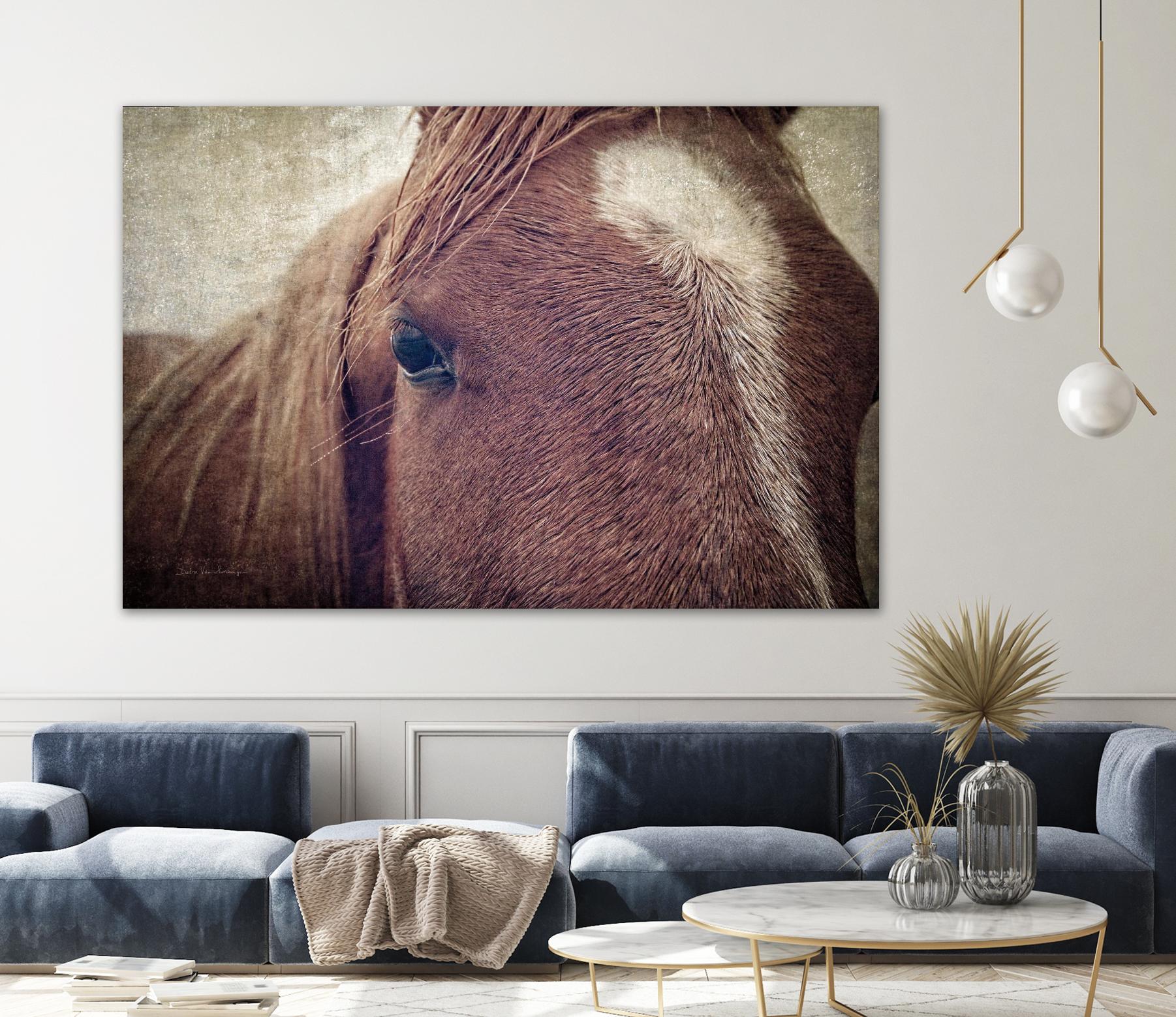 Dew Lashes by Debra Van Swearingen on GIANT ART - animals animals