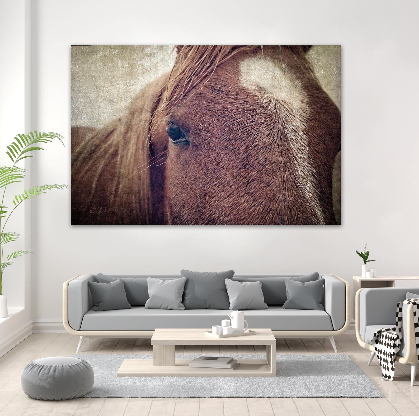 Dew Lashes by Debra Van Swearingen on GIANT ART - animals animals