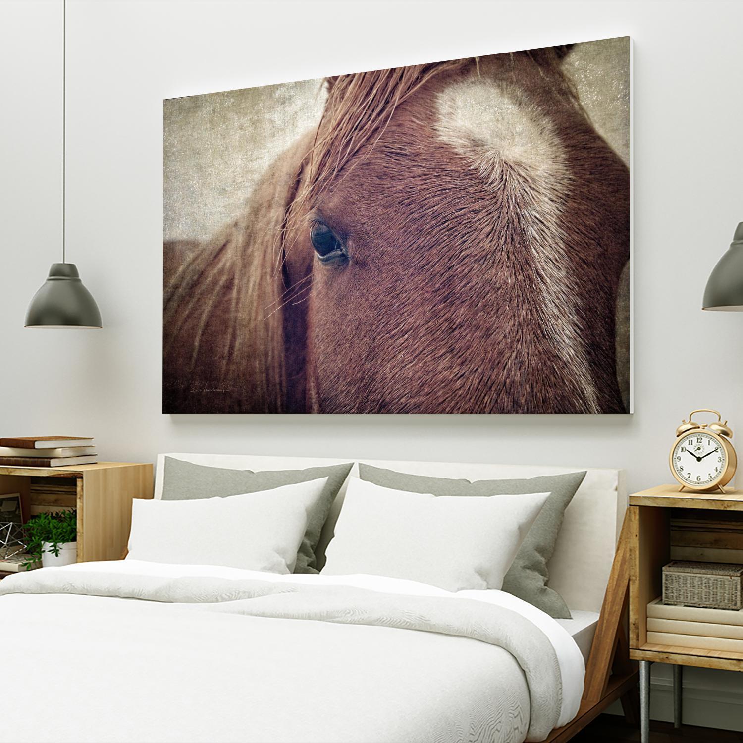 Dew Lashes by Debra Van Swearingen on GIANT ART - animals animals