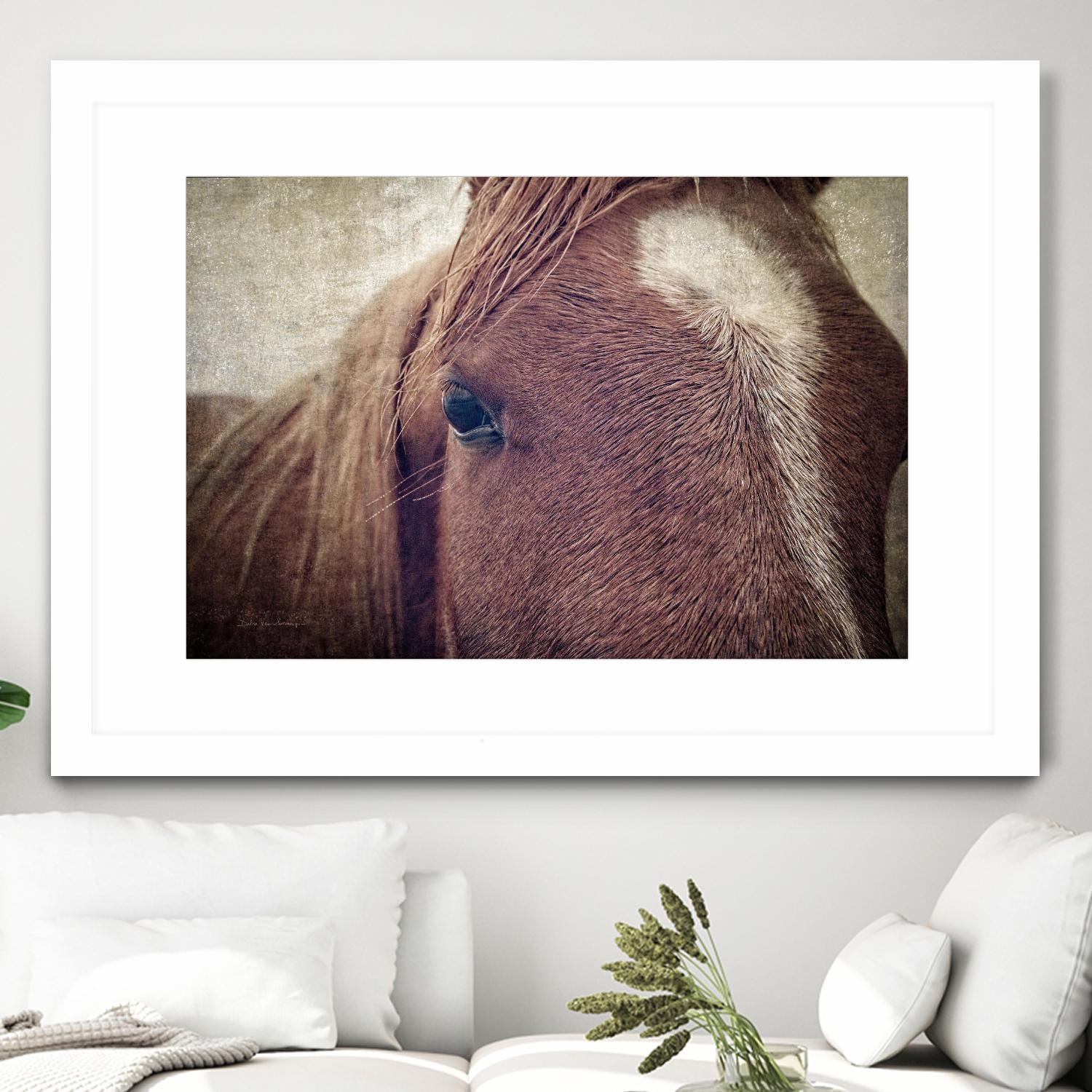 Dew Lashes by Debra Van Swearingen on GIANT ART - animals animals