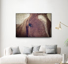 Dew Lashes by Debra Van Swearingen on GIANT ART - animals animals