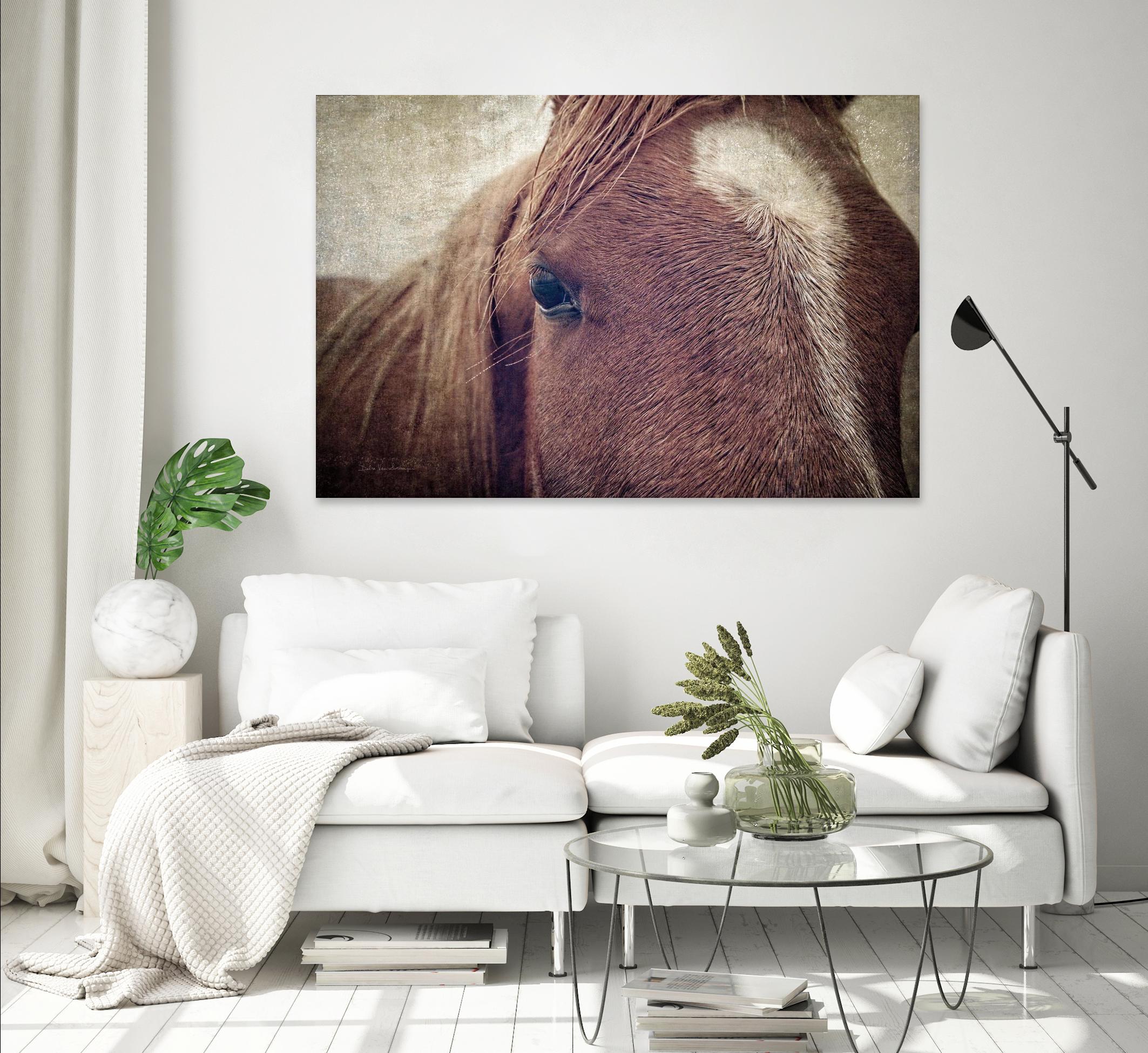 Dew Lashes by Debra Van Swearingen on GIANT ART - animals animals