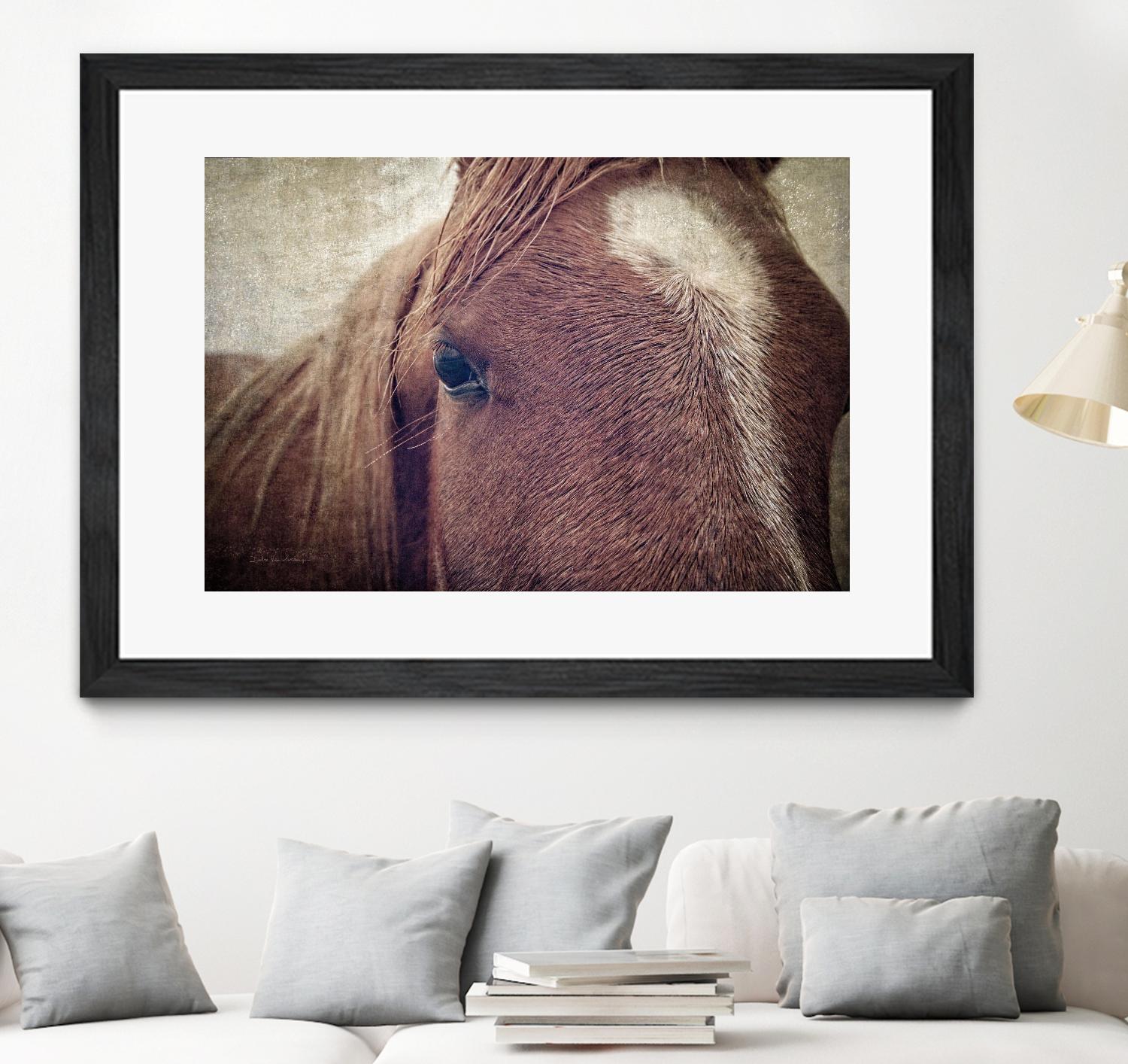 Dew Lashes by Debra Van Swearingen on GIANT ART - animals animals