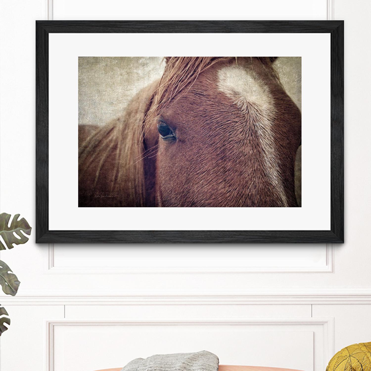 Dew Lashes by Debra Van Swearingen on GIANT ART - animals animals