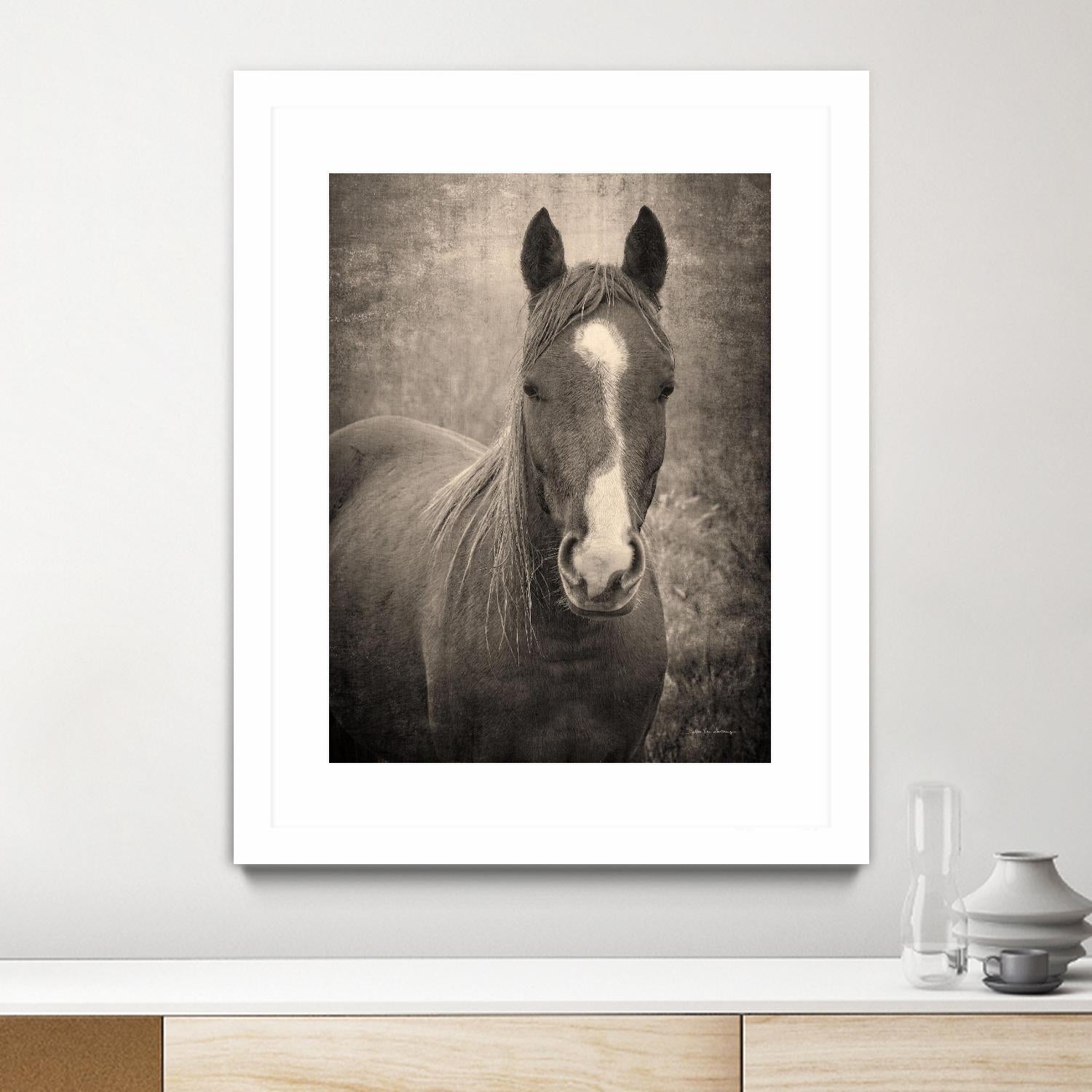 Heres Looking at You II by Debra Van on GIANT ART - animals animals