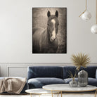 Heres Looking at You II by Debra Van on GIANT ART - animals animals