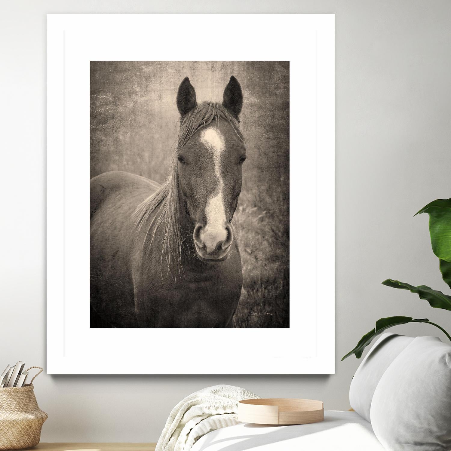 Heres Looking at You II by Debra Van on GIANT ART - animals animals