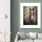 Heres Looking at You II by Debra Van on GIANT ART - animals animals