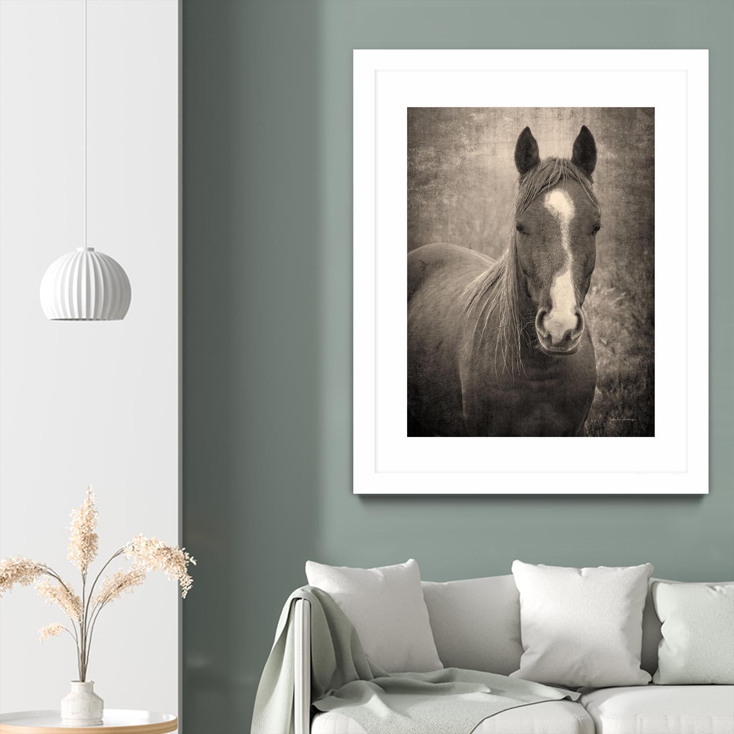 Heres Looking at You II by Debra Van on GIANT ART - animals animals