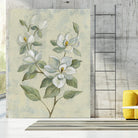 Sage Magnolia by Silvia Vassileva on GIANT ART - florals florals