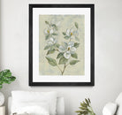 Sage Magnolia by Silvia Vassileva on GIANT ART - florals florals