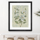 Sage Magnolia by Silvia Vassileva on GIANT ART - florals florals