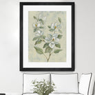 Sage Magnolia by Silvia Vassileva on GIANT ART - florals florals