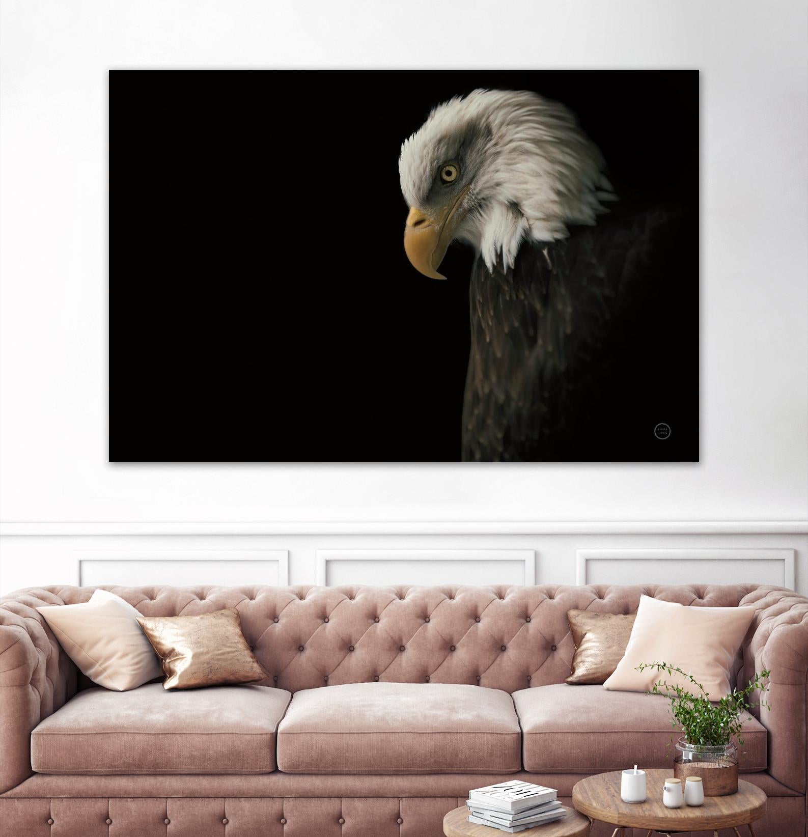 Eagle Bow by Nathan Larson on GIANT ART - animals american eagle