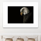 Eagle Bow by Nathan Larson on GIANT ART - white animals oiseau