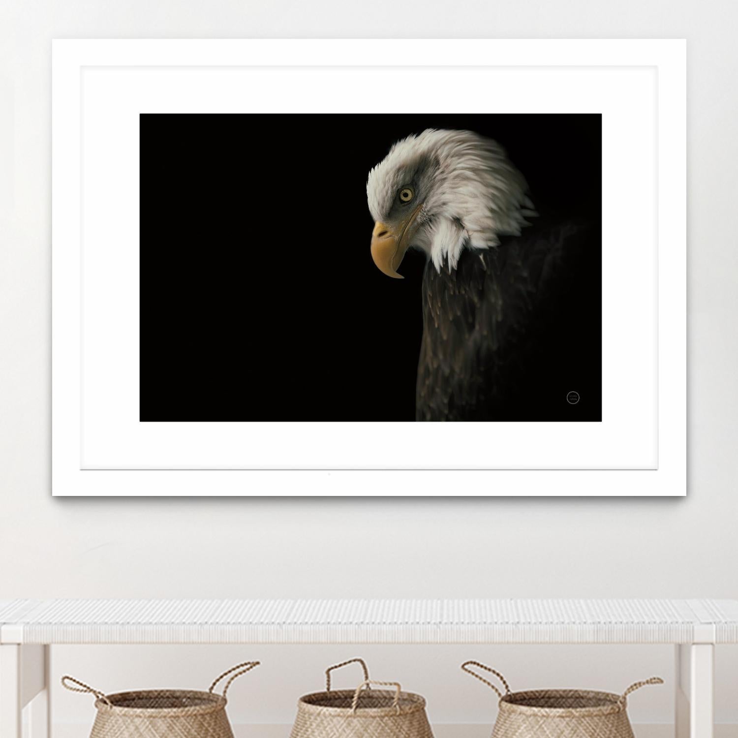 Eagle Bow by Nathan Larson on GIANT ART - white animals oiseau