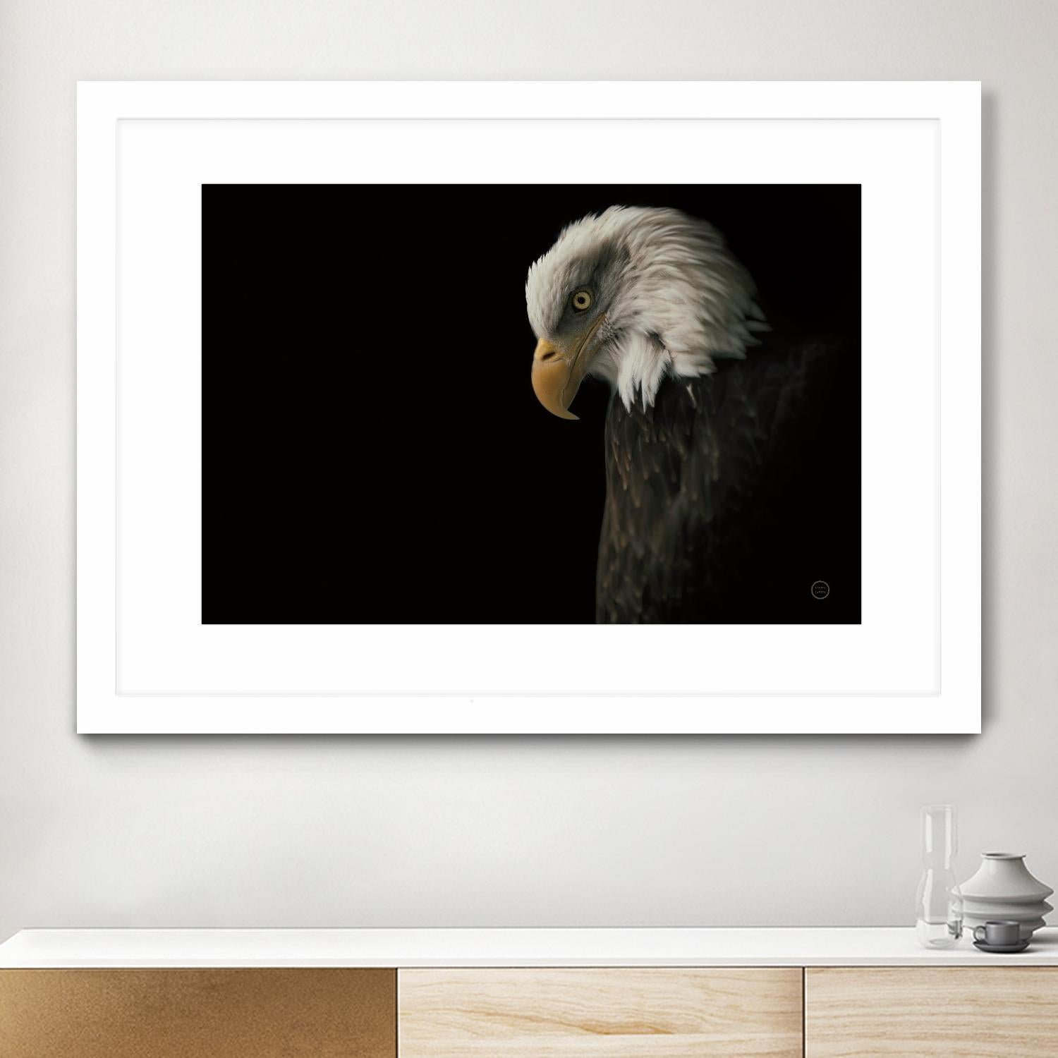 Eagle Bow by Nathan Larson on GIANT ART - white animals oiseau