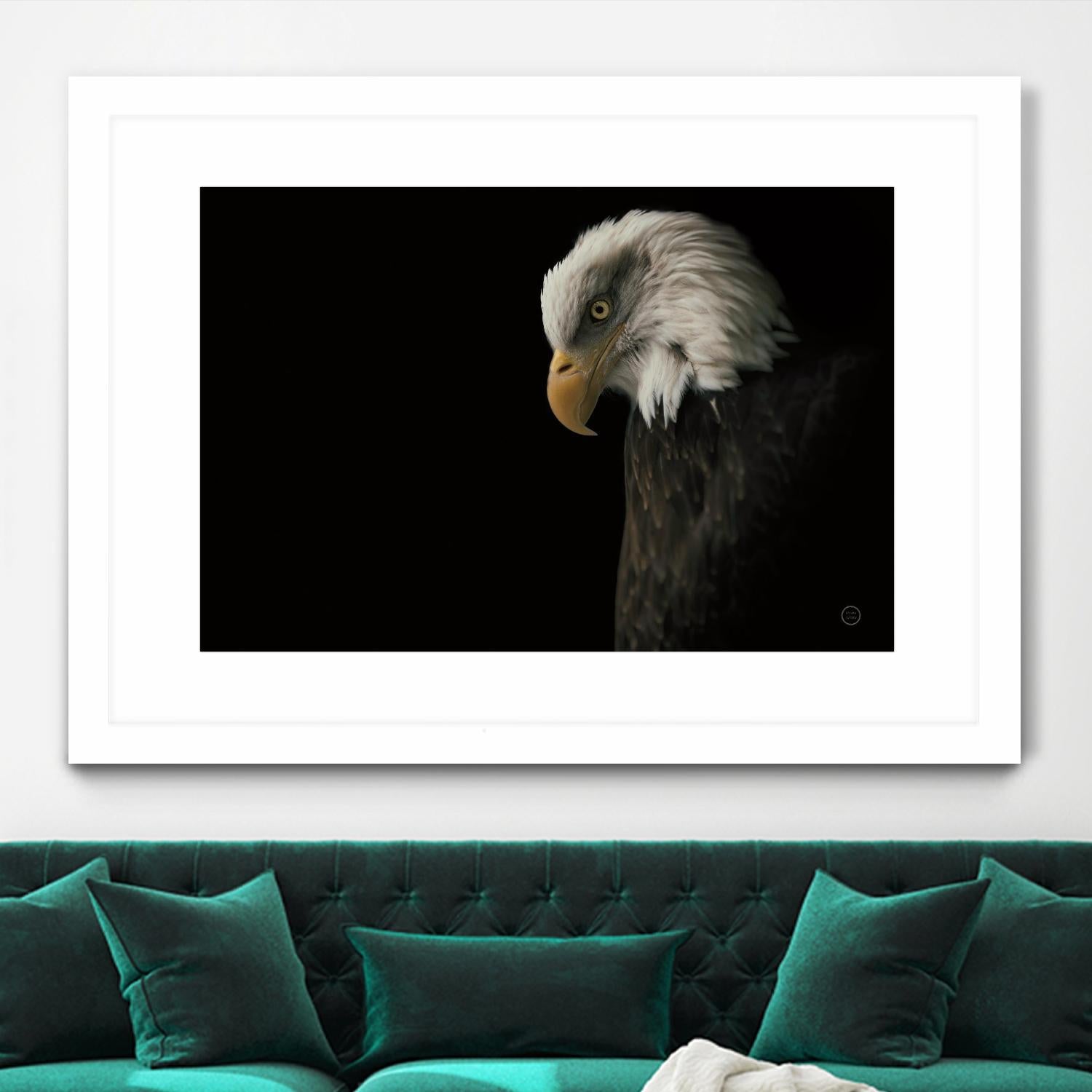 Eagle Bow by Nathan Larson on GIANT ART - white animals oiseau