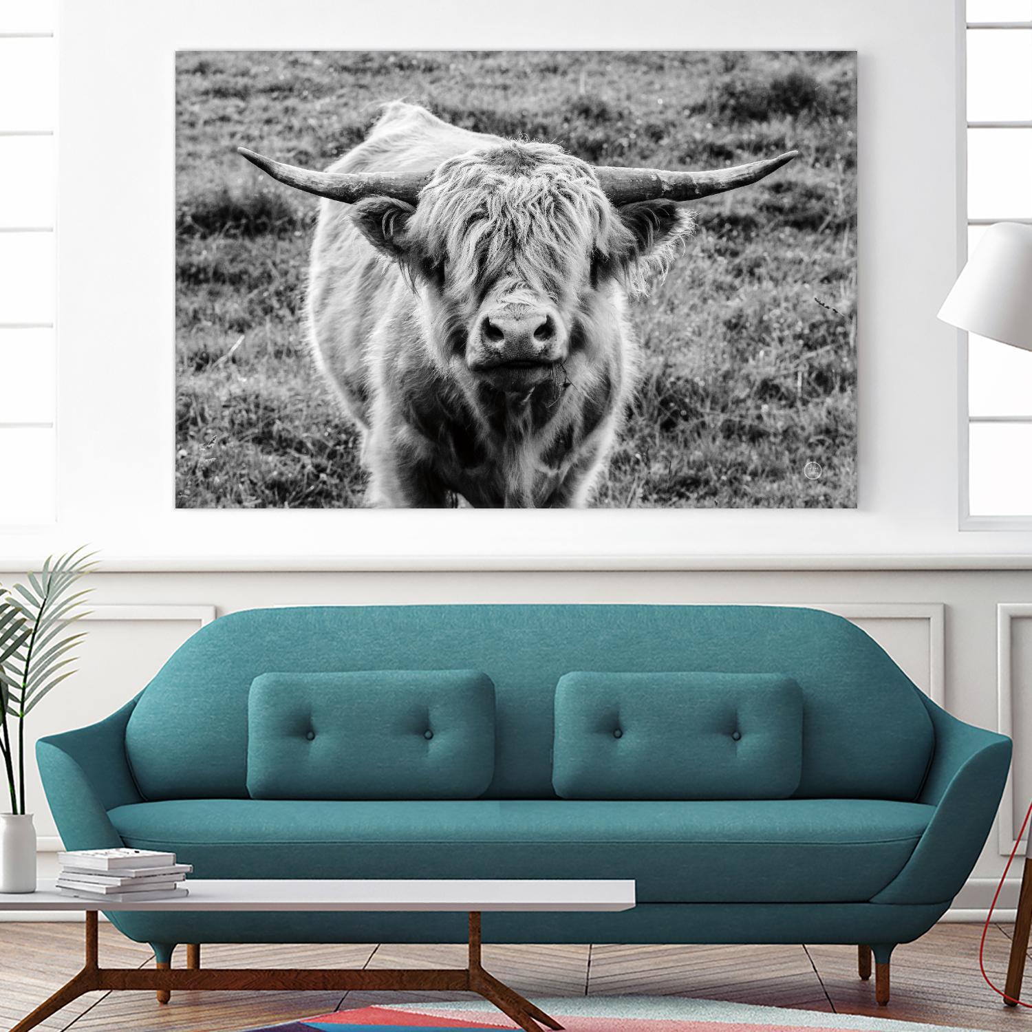 Highland Cow Staring Contest by Nathan Larson on GIANT ART - animals animals