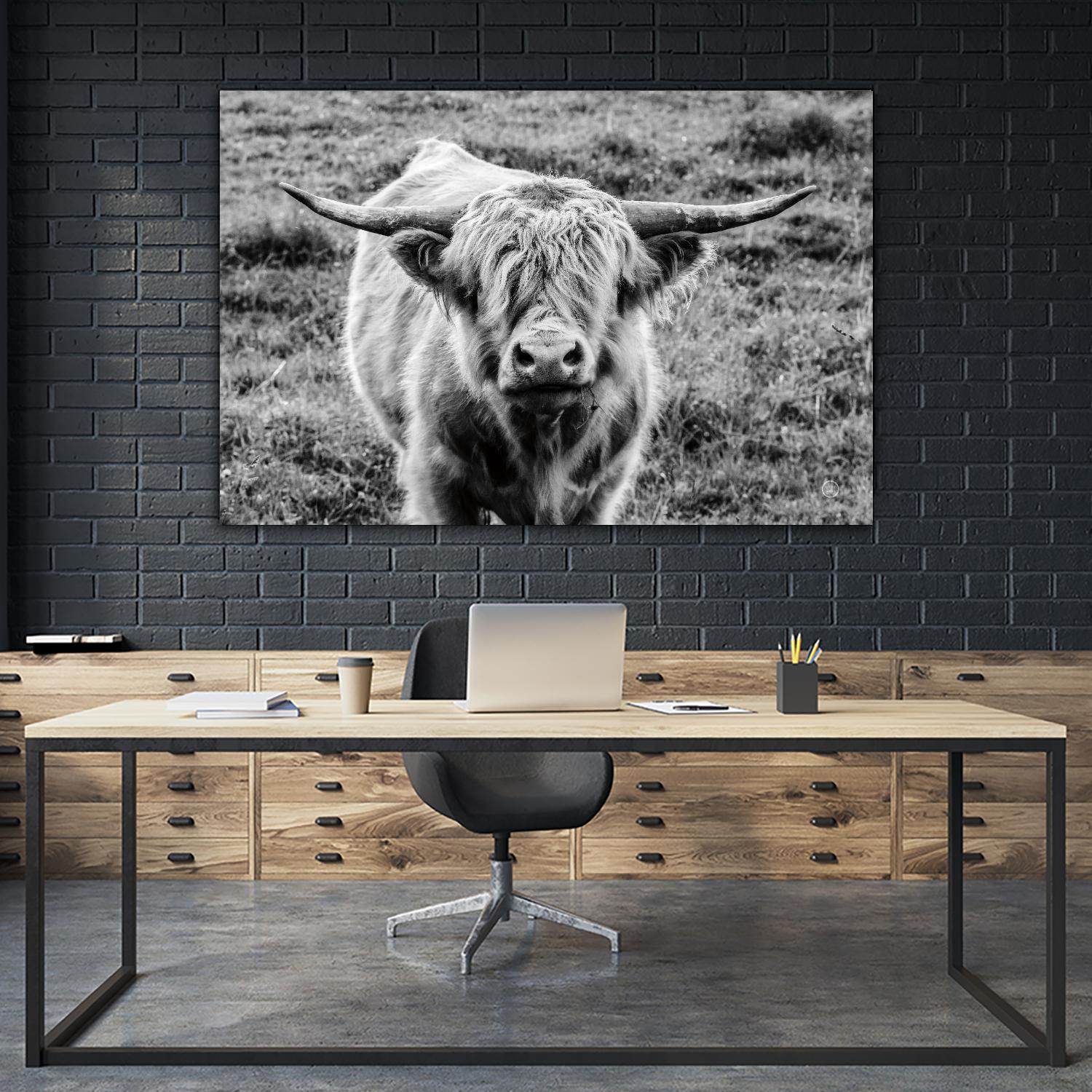 Highland Cow Staring Contest by Nathan Larson on GIANT ART - animals animals