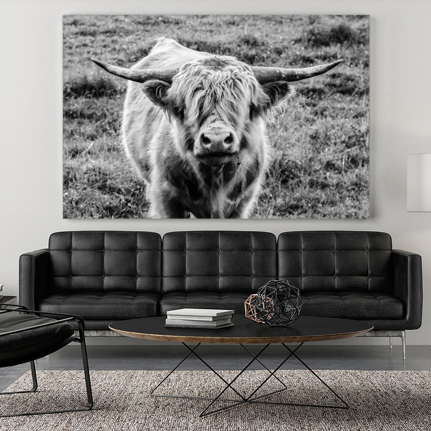 Highland Cow Staring Contest by Nathan Larson on GIANT ART - animals animals
