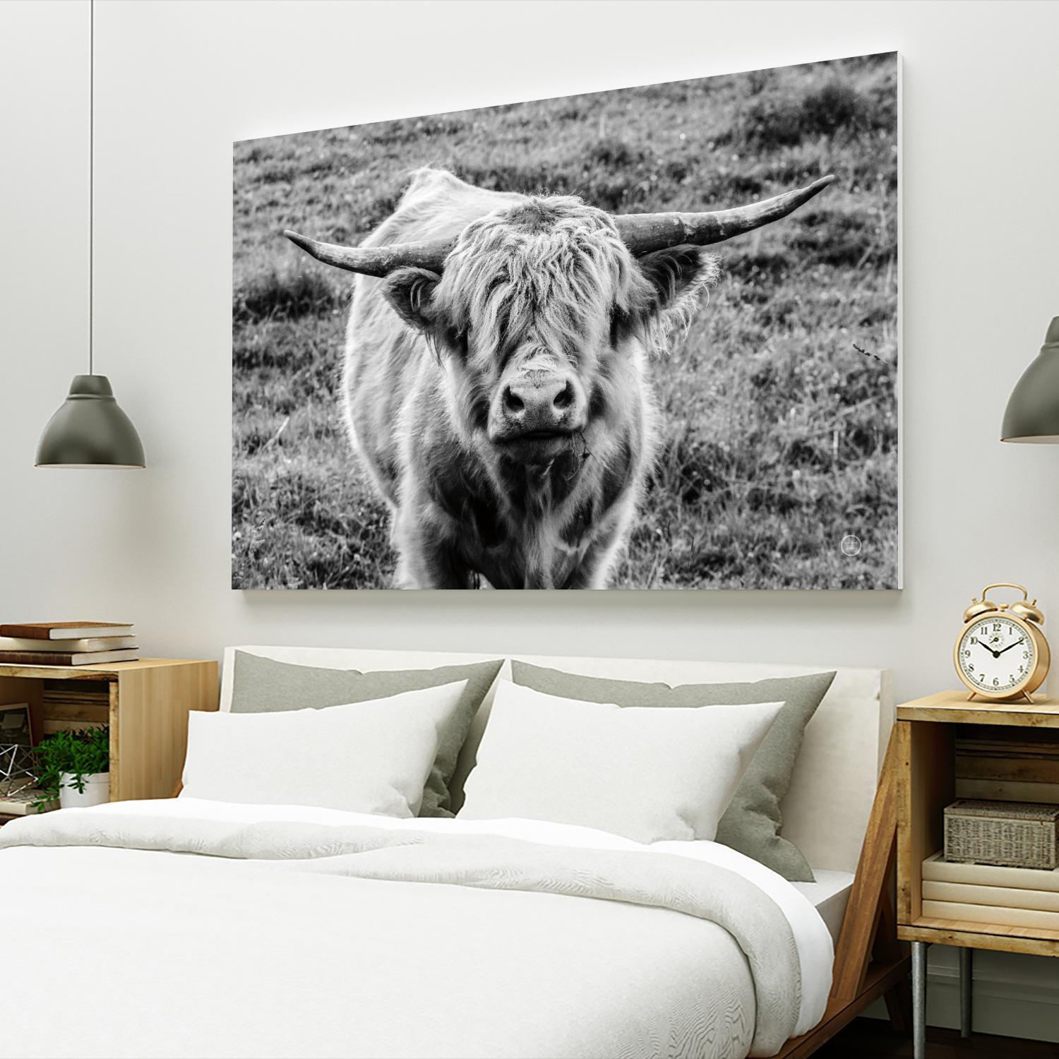 Highland Cow Staring Contest by Nathan Larson on GIANT ART - animals animals