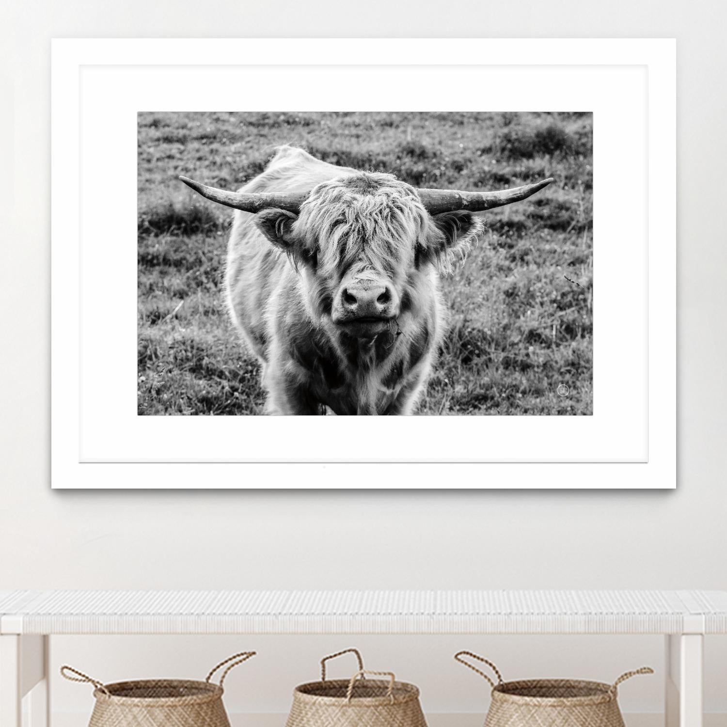 Highland Cow Staring Contest by Nathan Larson on GIANT ART - white animals highland cattle