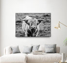 Highland Cow Staring Contest by Nathan Larson on GIANT ART - animals animals