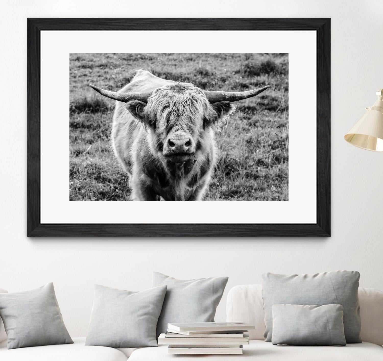 Highland Cow Staring Contest by Nathan Larson on GIANT ART - white animals highland cattle