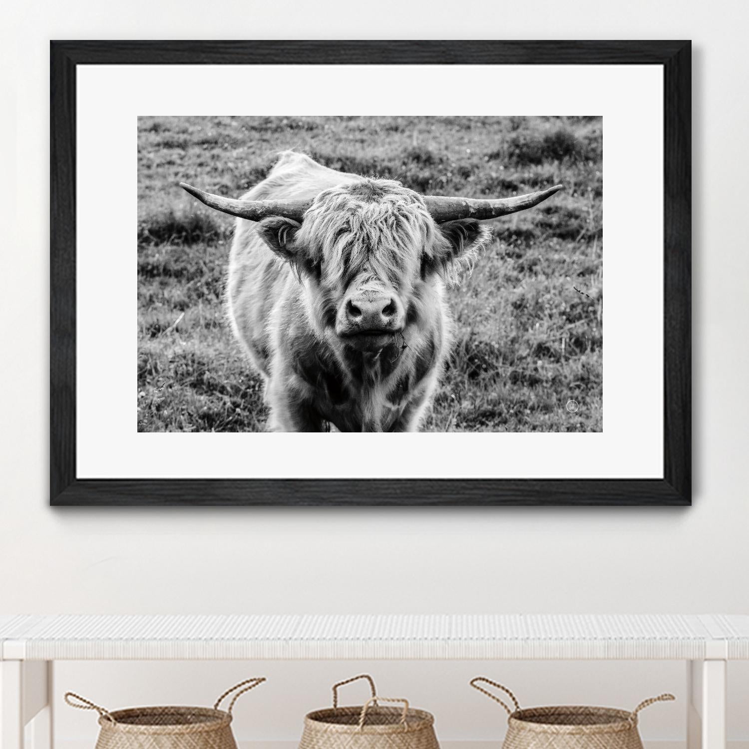 Highland Cow Staring Contest by Nathan Larson on GIANT ART - white animals highland cattle