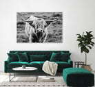 Highland Cow Staring Contest by Nathan Larson on GIANT ART - white animals highland cattle