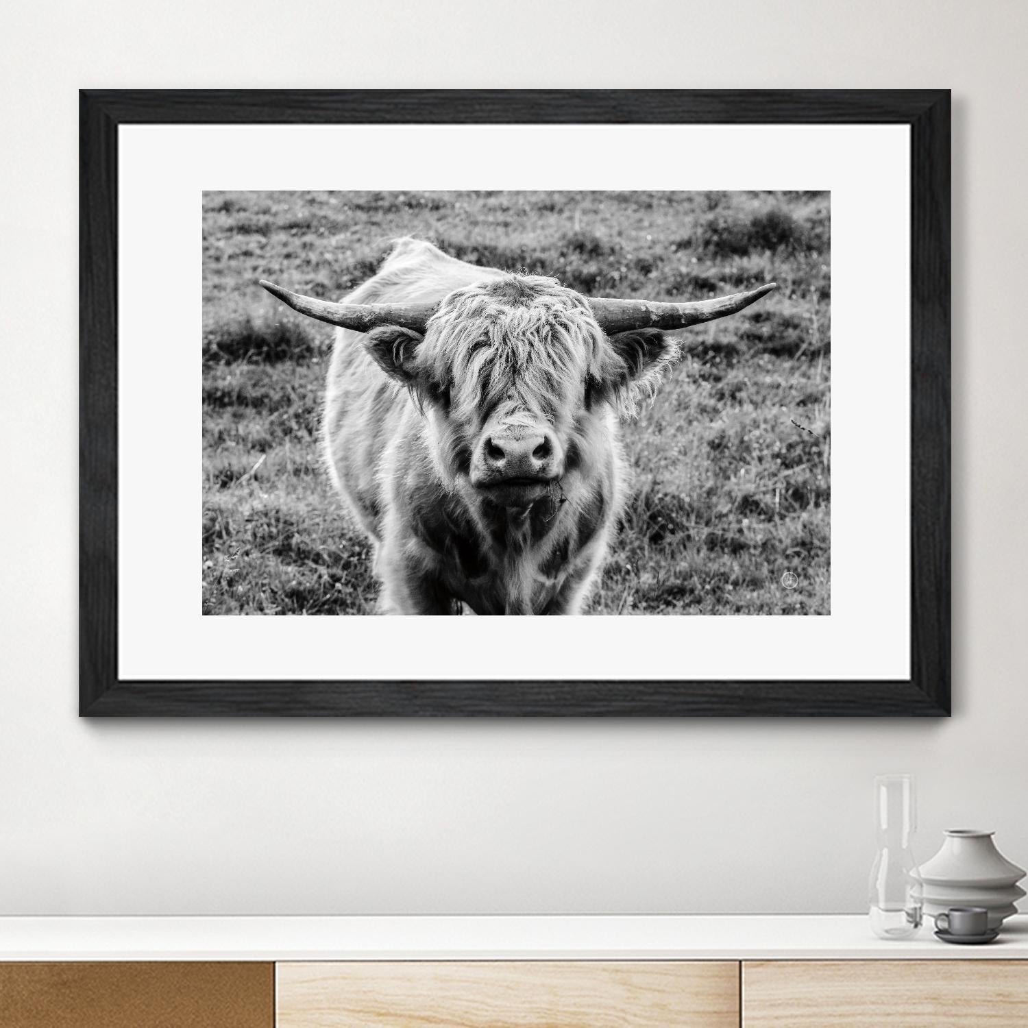 Highland Cow Staring Contest by Nathan Larson on GIANT ART - white animals highland cattle
